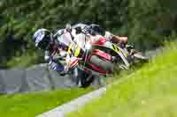 Advanced Group White Bikes